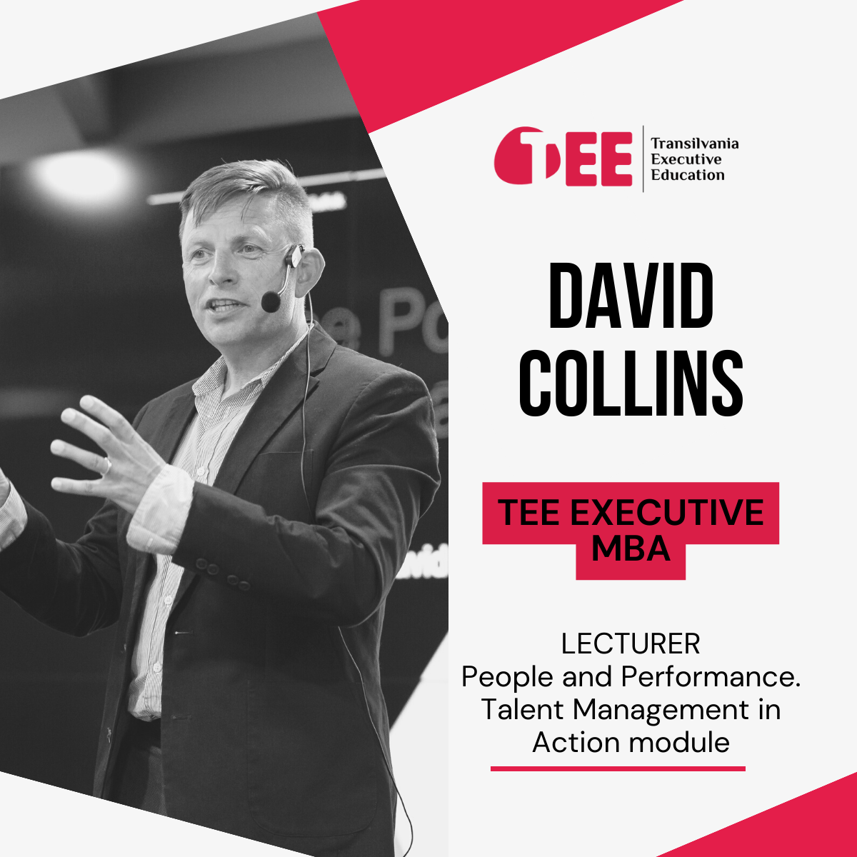 David Collins TEE EXECUTIVE MBA